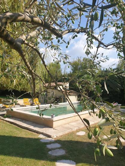 Bed and Breakfast Mas des muses LʼIsle-sur-la-Sorgue Exterior foto
